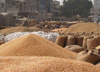 गेहूं की मंडी की तस्वीर सभार पत्रिका